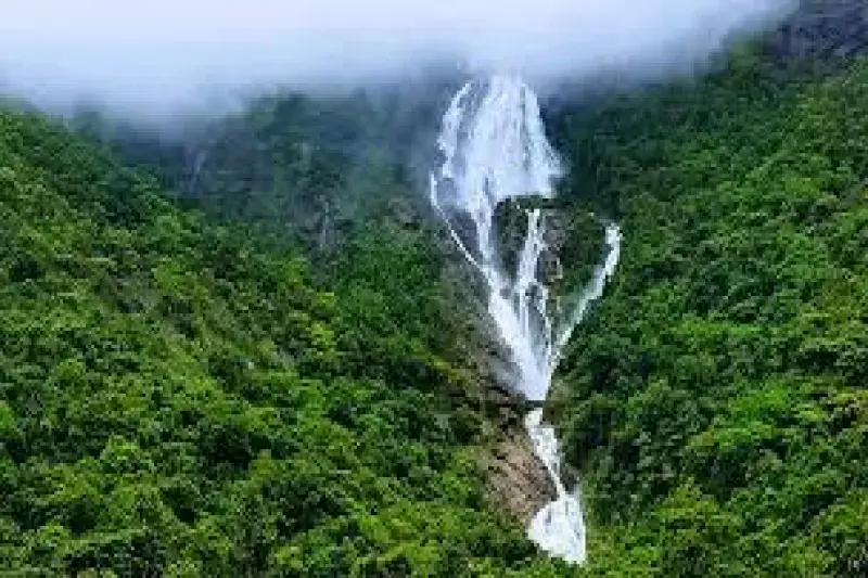 Day 03: Dudhsagar Waterfall & Spice  Plantation