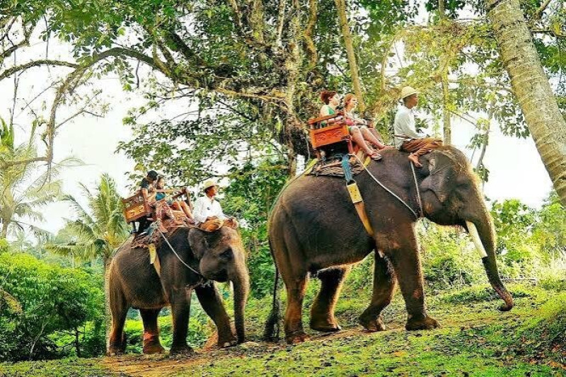 Day 03 | Munnar – Thekkady