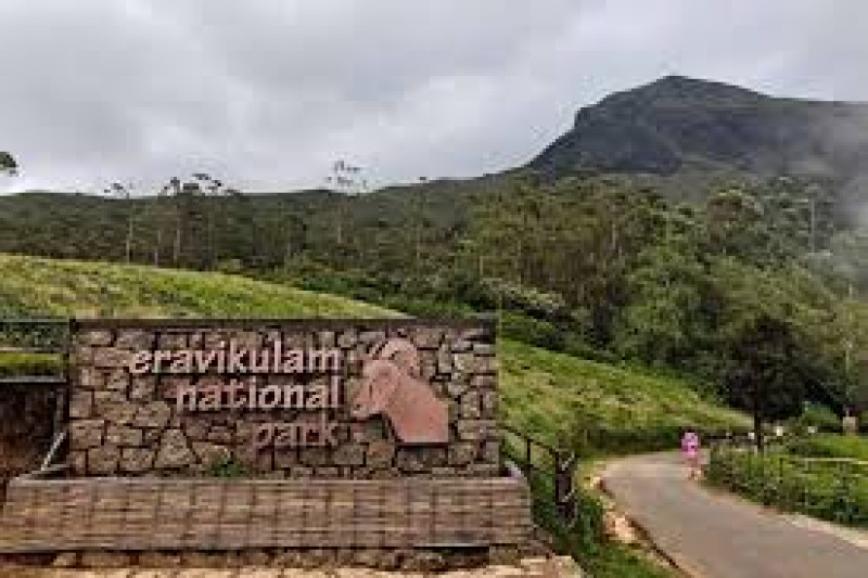 Day 02 : Munnar Sightseeing