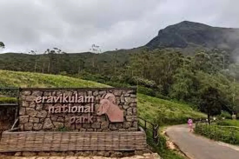 Day 02 : Munnar Sightseeing