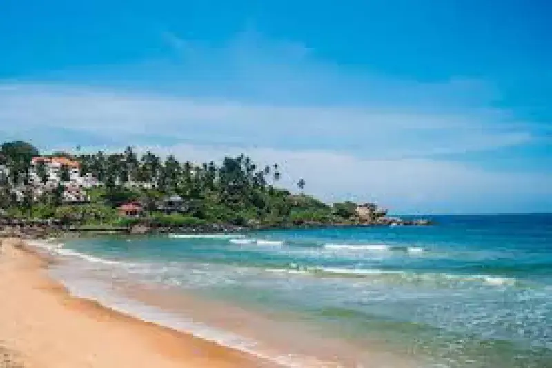 Day 06: Alleppey  to Kovalam (4-5hrs  journey)