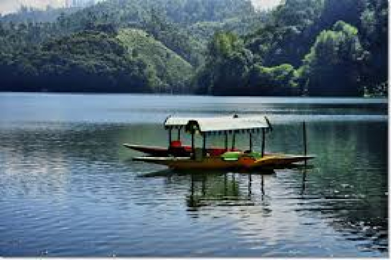 Day 03: Munnar Sightseeing