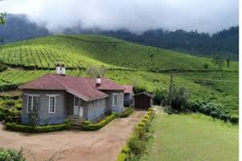 Day 04 : Munnar  Offbeat &  Adventure Day