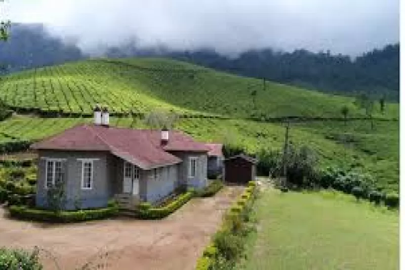 Day 04 : Munnar  Offbeat &  Adventure Day