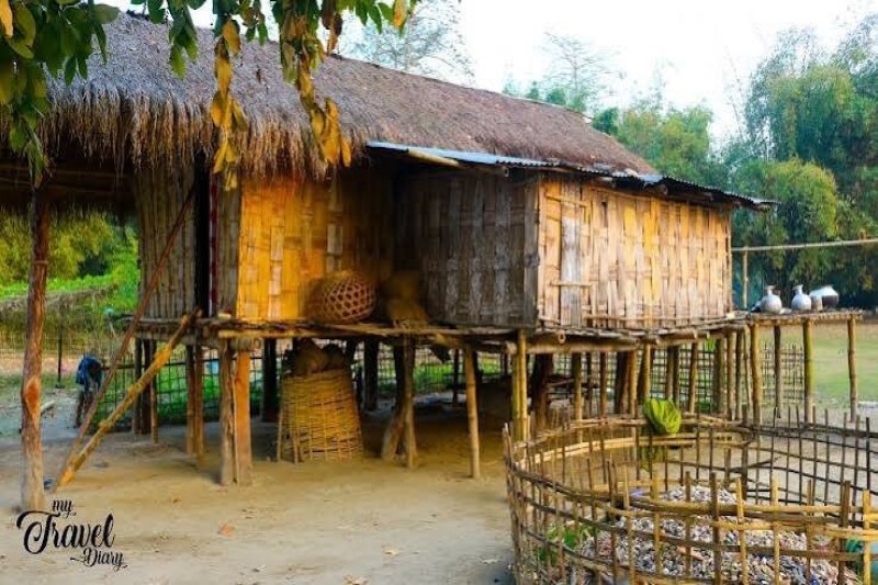Day 03: Tribal Village & Cultural Experience