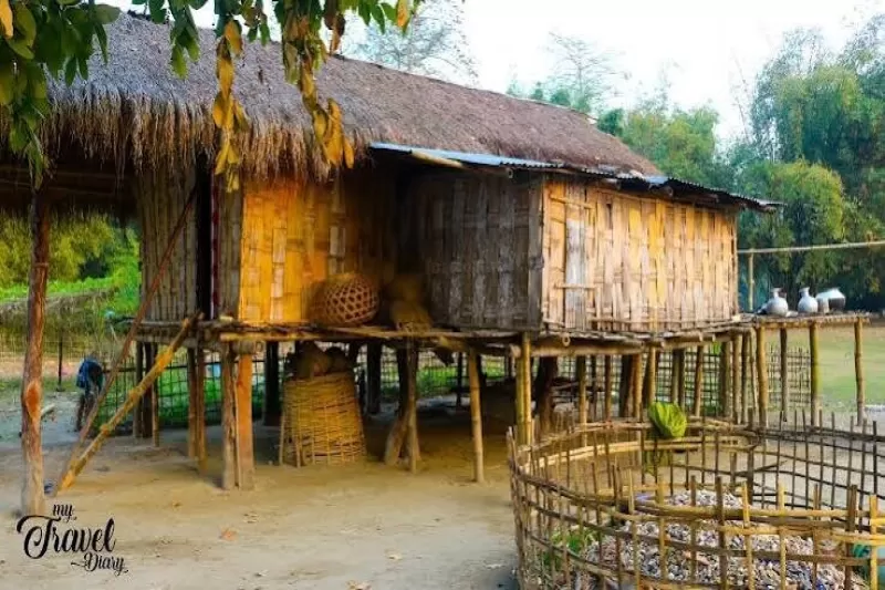 Day 03: Tribal Village & Cultural Experience