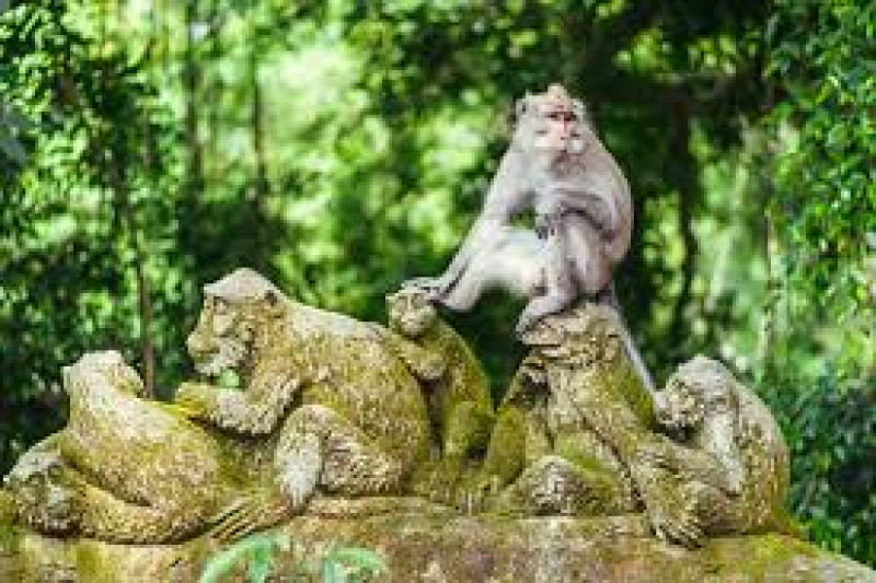 Day 04: Ubud Full  Day Tour