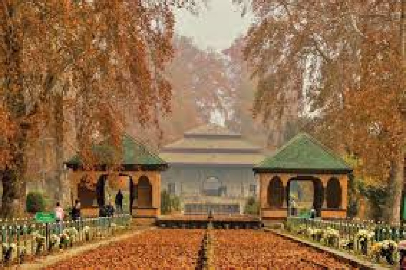 Day 05: Gulmarg to Srinagar & Gardens  visit with Houseboat Stay