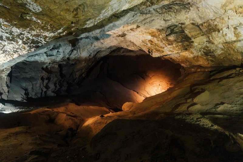 Day 03: Visit To Siju Caves and Fish  Sanctuary