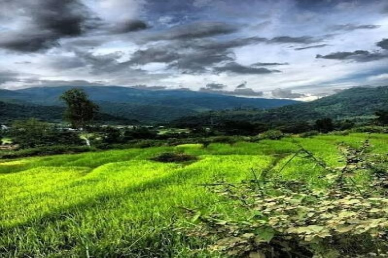 Day 3: Andro Village & Cultural Exploration