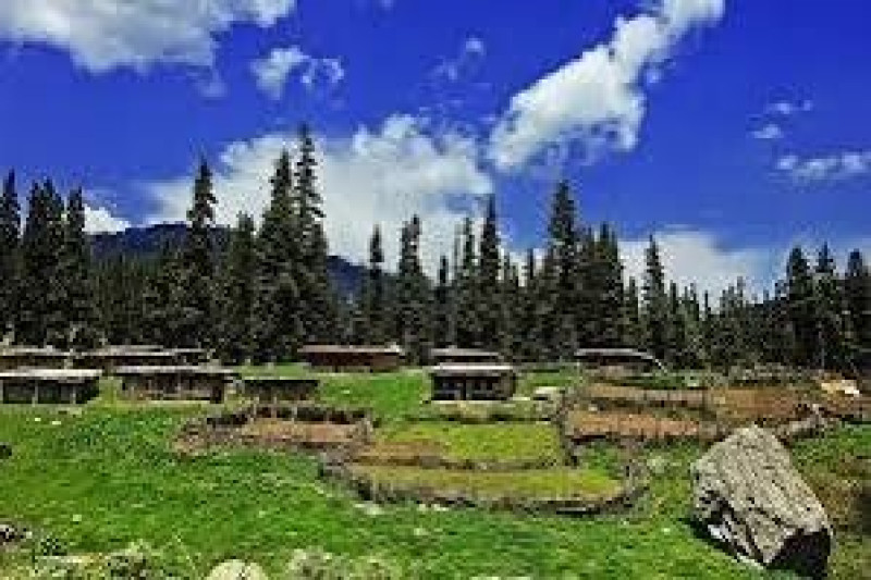 Day 04: Srinagar to Gulmarg