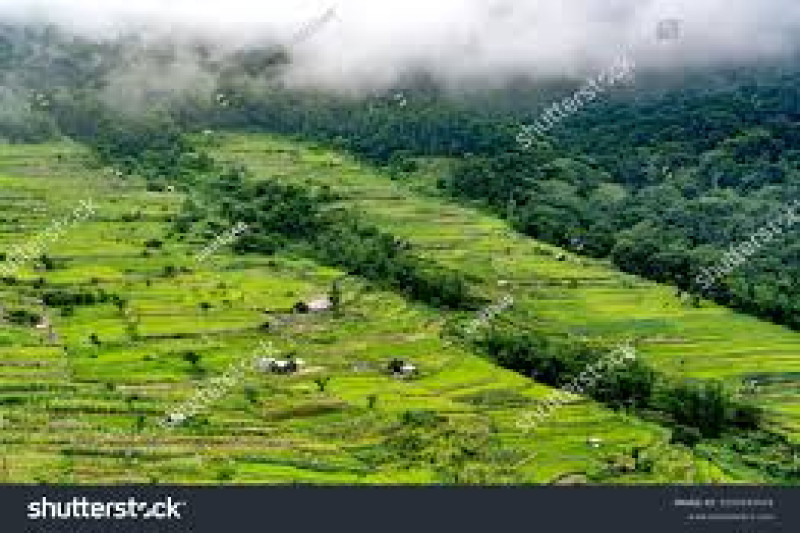 DAY 03: EXCURSION TO KHONOMA GREEN VILLAGE