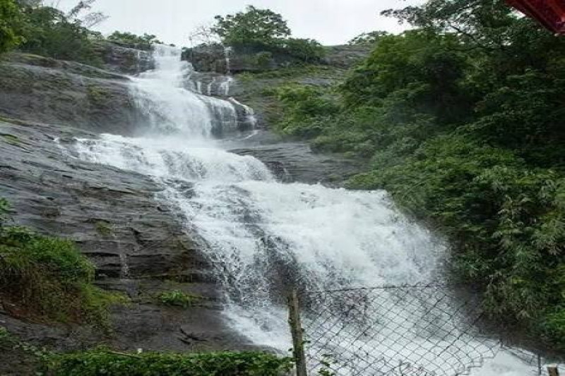 Day 01 | Arrival at Kochi – Transfer to Munnar