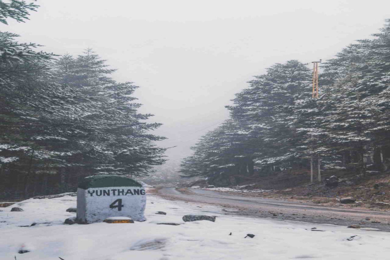 DAY 03 : Excursion to  Yumthang Valley &  Zero Point