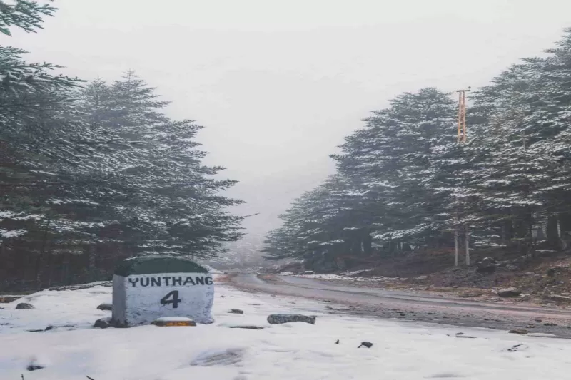 DAY 03 : Excursion to  Yumthang Valley &  Zero Point