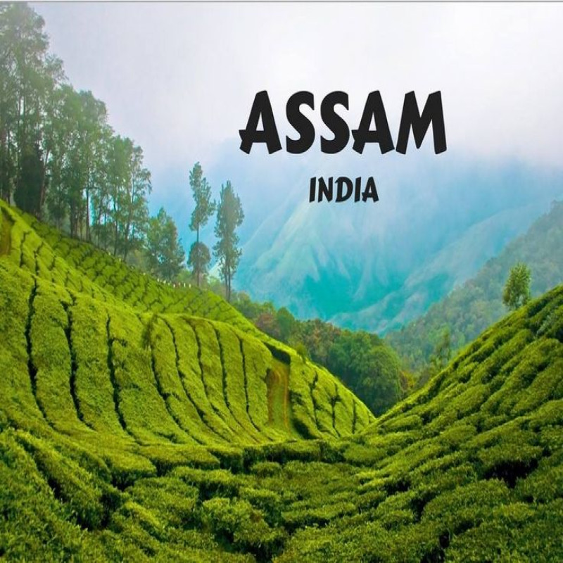 Mesmerizing Assam Escape