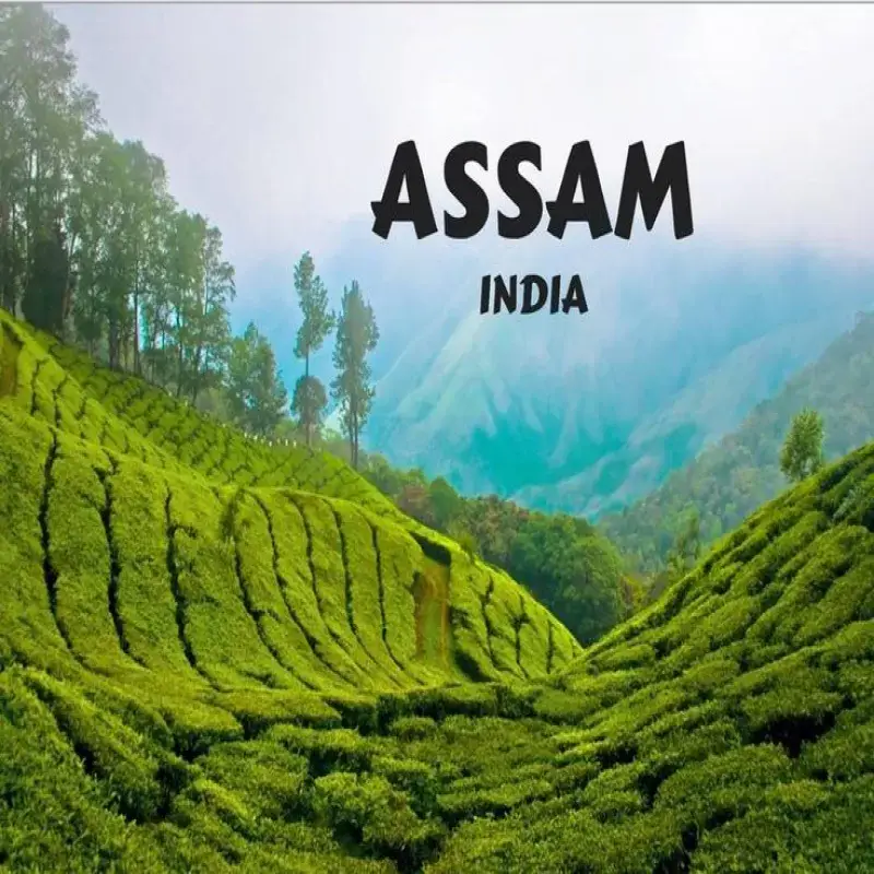 Mesmerizing Assam Escape
