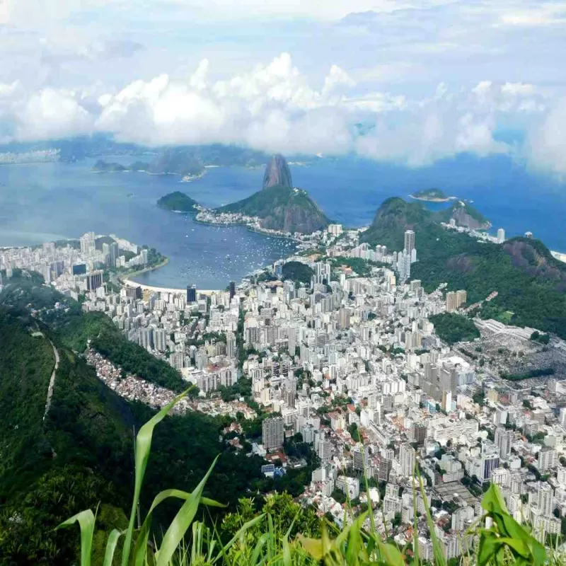 Samba, Rainforests & Iconic Coastal Wonders