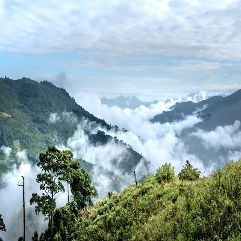 Explore the Untouched Beauty of Nagaland
