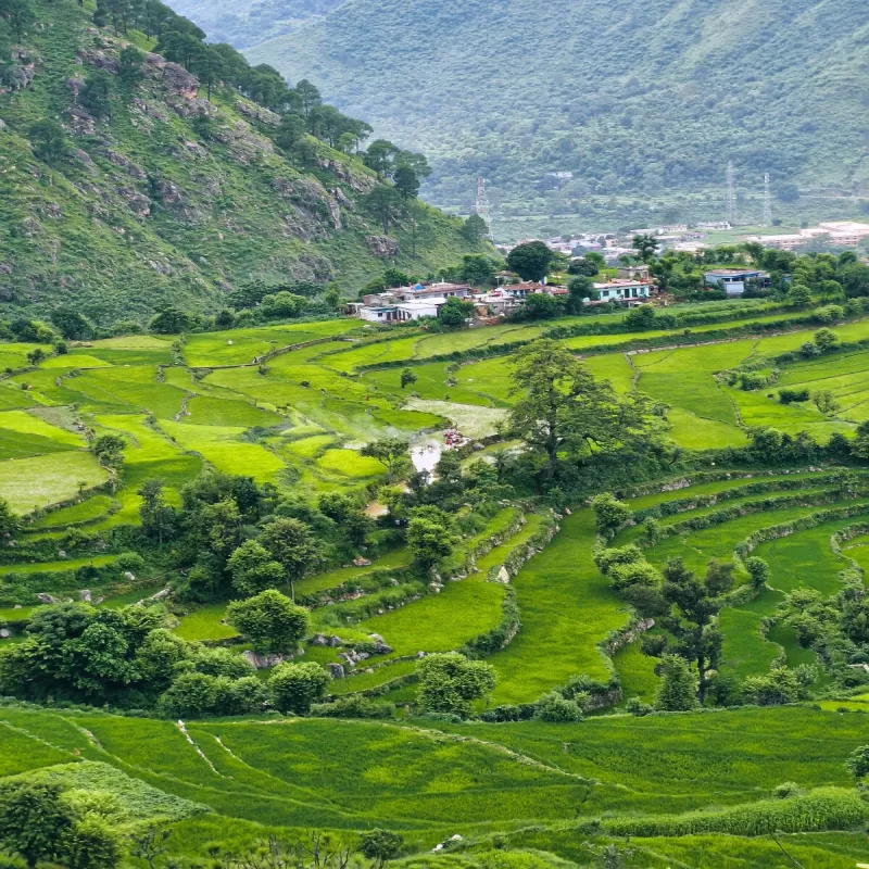 Kumaon Delight &ndash; Nainital Ranikhet Tour Package