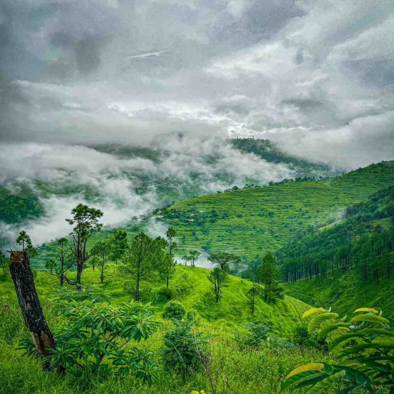 Explore the Beauty of Kumaon Hills