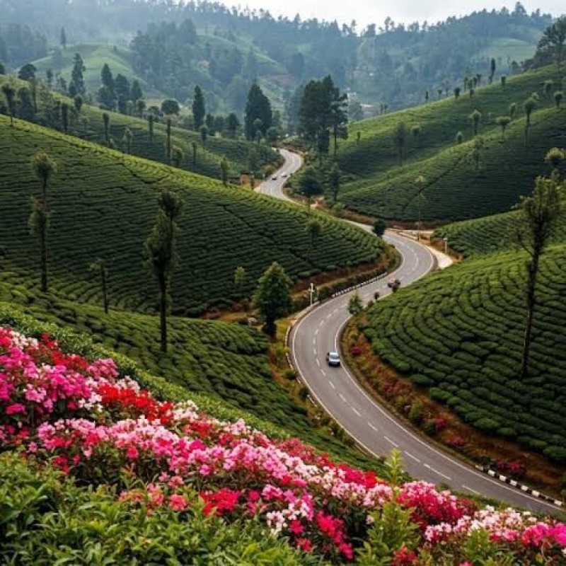 Tamil Nadu Heritage & Coastal Escape